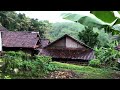 Heavy Rain Walking in rural Indonesia | Cool afternoon atmosphere| Rain and thunder are for relaxing