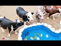 38 Minutes Build a Barnyard for Animals - Small Countryside Farm Diorama - Miniature Cattle Farm