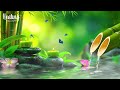 Relaxing Music 24 Hour - Nature Soul, Healing Music, Meditation Music, Spa Music, Sleep, Study Music