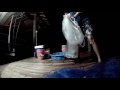 How to Catch Shrimp at Night