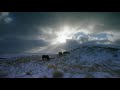 Winter Brings A Stark Beauty To Canada’s Remote Sable Island | Wild Canadian Year