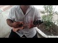 APC soprano ukulele VID 20240710 105449