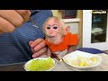 Monkey BiBi and dad eat simple but full of love!