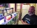 Breeding LOTS of Fish in a SMALL Space: Scotty's Fishroom Tour