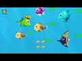Fishdom Ads | Mini Aquarium Help the Fish | Hungry Fish New Update (191) Collection Tralier Video