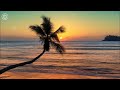 Deep House Mix 2024 - Chillout Melodies for Sunset Relaxation 🎸 Mixes By DL Music