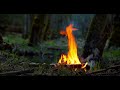 Forest Campfire by a Small Stream 🔥 Soothing Sounds of Nature