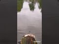 little fishing edit