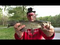 How to Make the Drop Shot Rig | Drop Shot Fishing for Bluegill