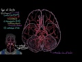 Ischemic stroke | Circulatory System and Disease | NCLEX-RN | Khan Academy