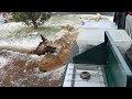 Mather Campground | Grand Canyon National Park | Tent Camping in the Snow