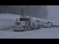 California's Donner Pass: Blizzard Chaos!