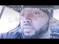 @Butlerkennelsrottweilers  Dedication vid FLY cover