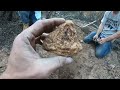 19 OUNCE MONSTER GOLD NUGGET