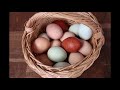 3 Ways to preserve eggs for food storage