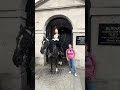 Tourists Beware: Regal Horse Ormonde on a Rampage for a Bite!