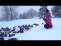 Feeding frenzy at Garland Park in Denver