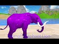 Paint & Animals Mammoth,Gorilla,Lion,Duck,Cow,Panda Fountain Crossing Transformation Animal Cartoon