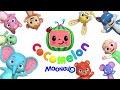 Peekaboo | CoComelon Animal Time | Animals for Kids