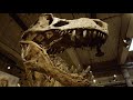 The Biggest T.rex in the World is in Saskatchewan