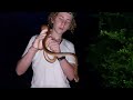 Handling a WILD Brown tree snake BAREHANDED! 🐍