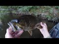 Fishing A Rat Lure For Angry River Bass!
