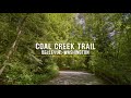 4K Virtual Hike on a Sunny Day - 3,5 Hours Forest Walk along the Coal Creek Trail, Bellevue