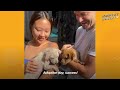 Couple Rescues Two Abandoned Puppies | The Dodo