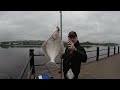 Flounders on a Budget. Fishing The River Tyne at British Airways Car Park. Easy Access Fishing.