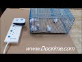 IZEERIN Pest repeller test 633-Electronic Ultrasonic Pest Repeller for Repels Rodent
