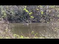 The Grand Ledge Dam And A Hike On The Beautiful Ledges Trail Grand Ledge, Michigan