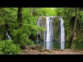 4K Rainforest Waterfall Ambience | Soothing Nature Sounds for Sleep & Relaxation | 3 Hours