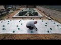 Auto-construction piscine 9 x 4m