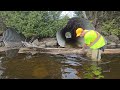 Unclogging And Sending Huge Log Through Massive Slippery Culvert Pipe