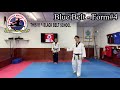 Blue Belt - Form#4