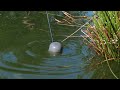 Mastering Pole Fishing: Secrets to How to fish Margins and catch BIG Carp