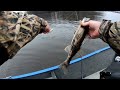 How to Fish a Jig and Plastic for Mississippi River Walleye | Spring Run Mississippi River Walleye