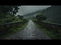 Sound Rain falls on the mountain road among beautiful trees with clean and cool Air
