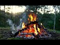 Forest Campfire 🌲 Natural Ambiance & Crackling Fire at Sunset