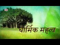 Bargad Ka Vriksh | Banyan Tree Significance | Kamlesh Upadhyay