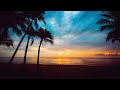 Relax Chill Music On The Tropical Beach | Beautiful Sunset On The Island