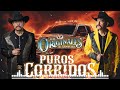 Los Originales de San Juan | Puros Corridos Viejitos y Pesados - Mix 30 Grandes Éxitos Canciones