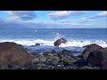Sea Ocean Sounds Relaxing Music Calm Meditation Nature Peaceful Water Wave Sound for Sleeping 😴😴😴