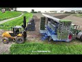 Fully Automated Planting of Brussels Sprouts w/ 6-row TTS Transplanter - Fendt 724 - Verdonk