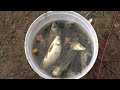 Full Videos: Unique Fishing - Pumping water outside the natural lake, Harvesting a lot of big fish