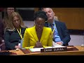Danai Gurira Addresses UN Security Council on Sexual Violence in Conflict | United Nations