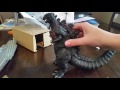 Shin Godzilla Dia - Rama Set