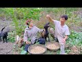 Sang vy builds a farm together, plants and harvests, vegetable garden, chickens - Sang vy farm
