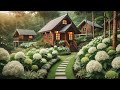 Hope and Courage希望與勇氣White Annabelle Hydrangeas and Cozy Cottage 白色安娜貝爾繡球花和舒適的小屋