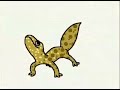 Lizard dancing with yahoo music